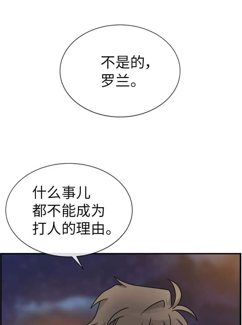 20 雷诺 第35页