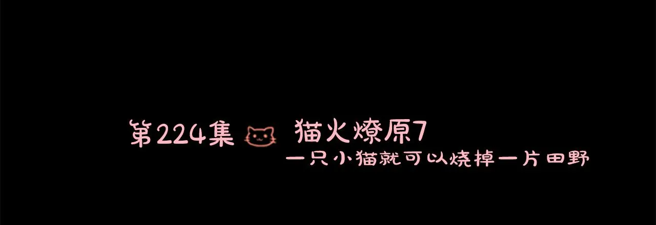 第224话 猫火燎原7 第13页