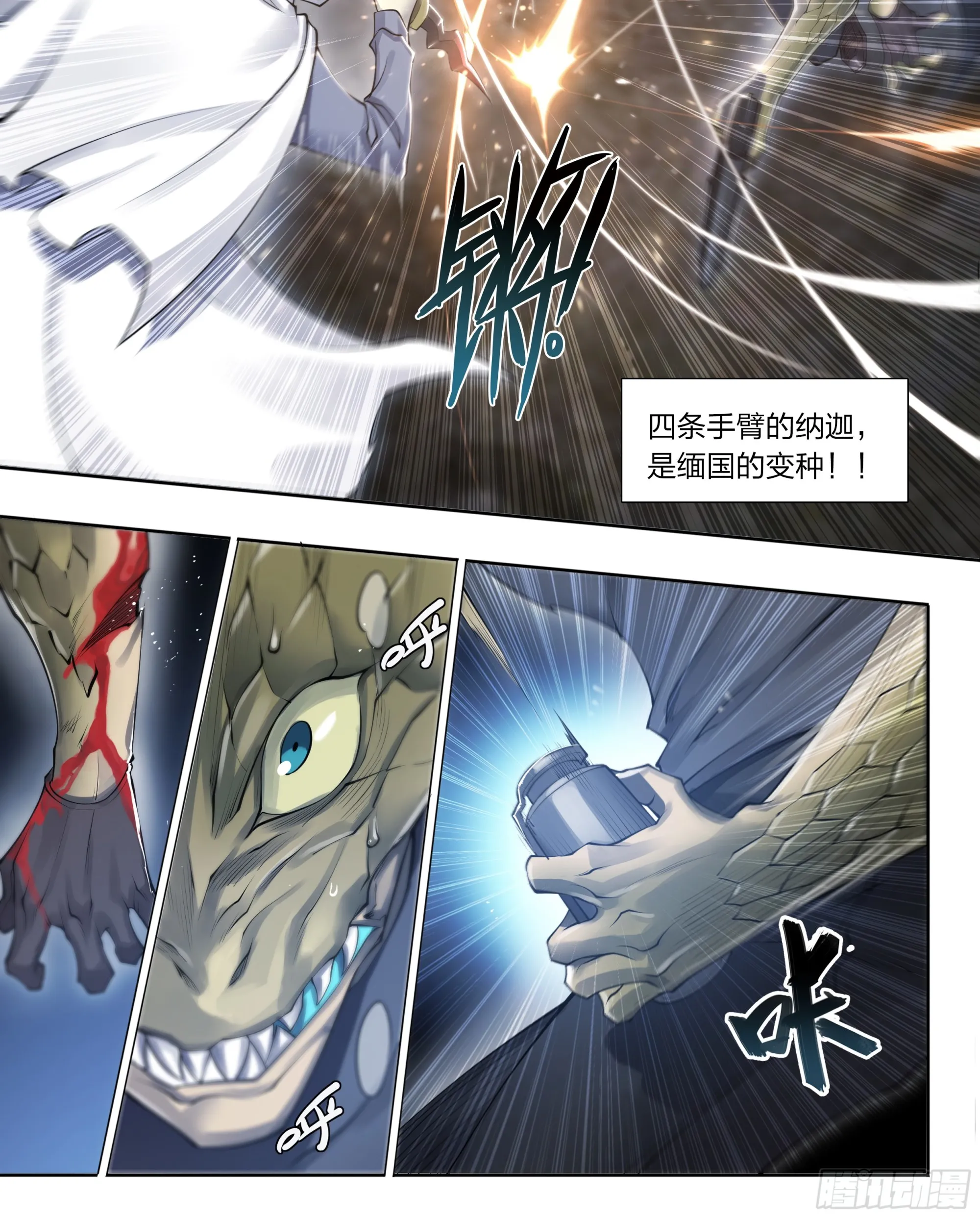71 纳迦 第17页