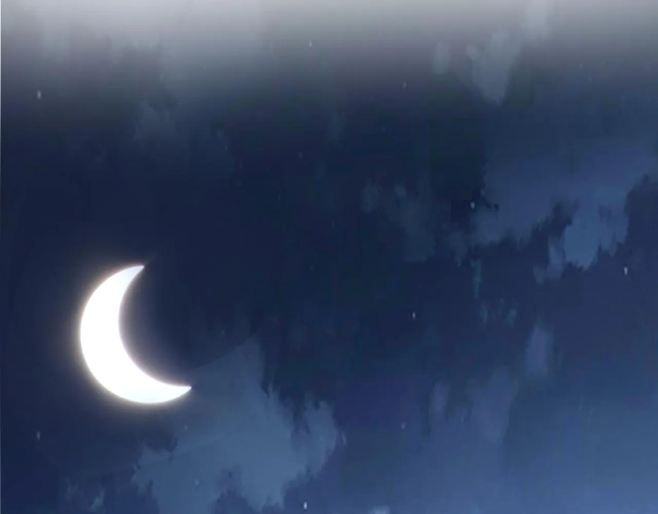 05 深山萌兽 第28页