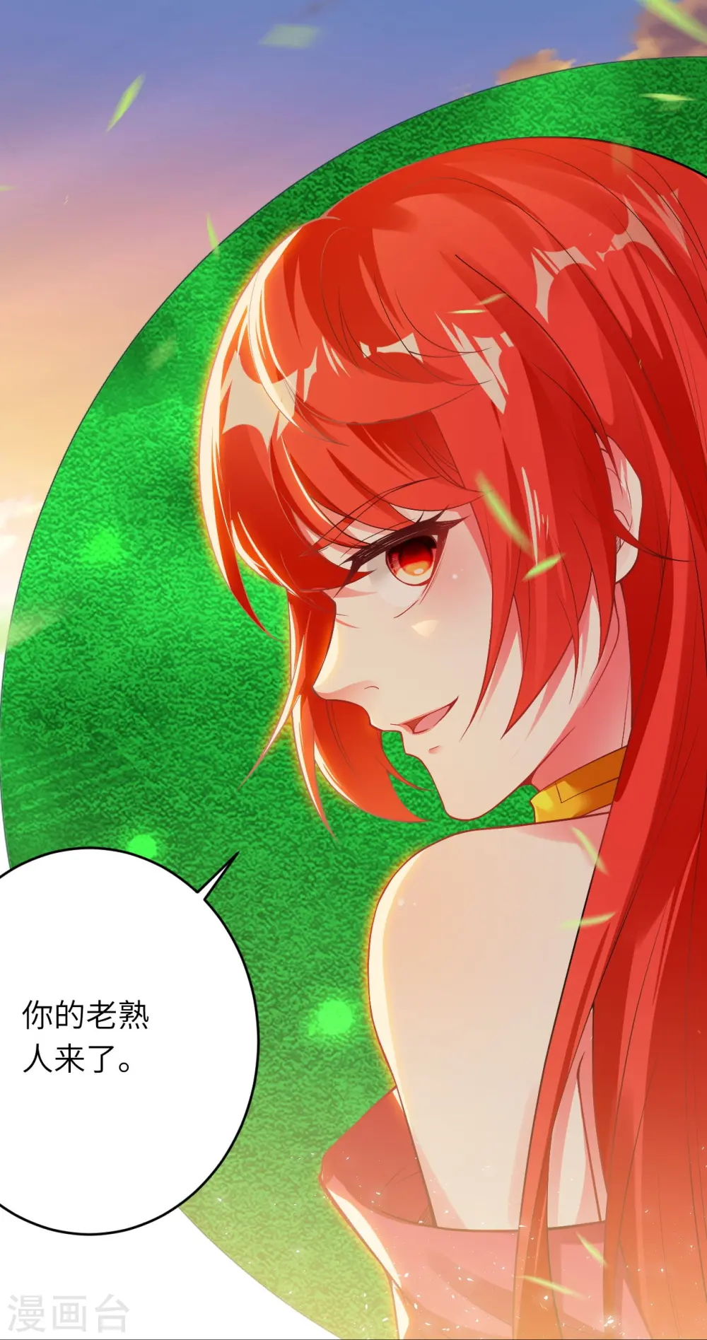 第407话 再闯凤神宫 第24页