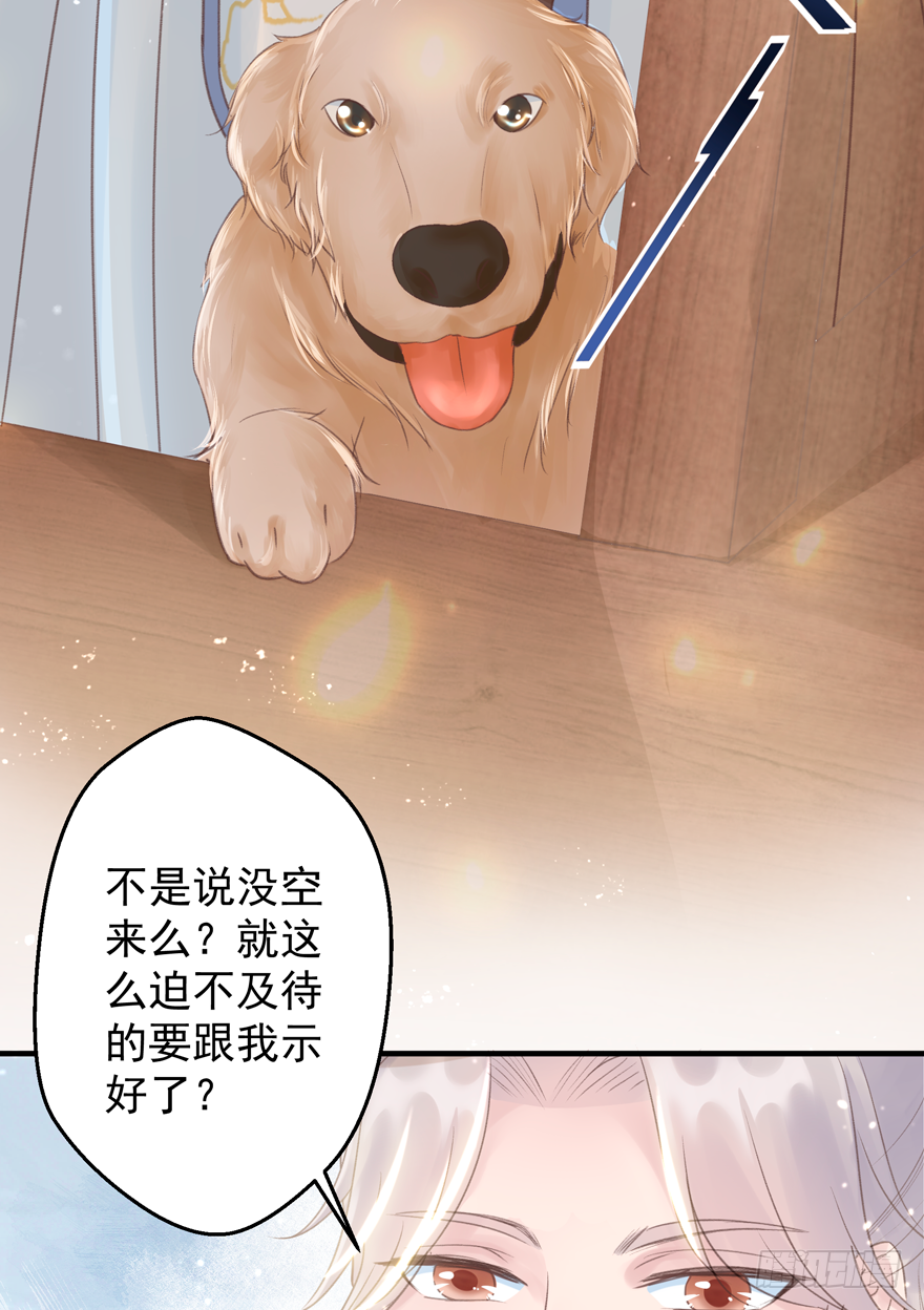 酒宴带狗赴，上桌斗地主 第26页