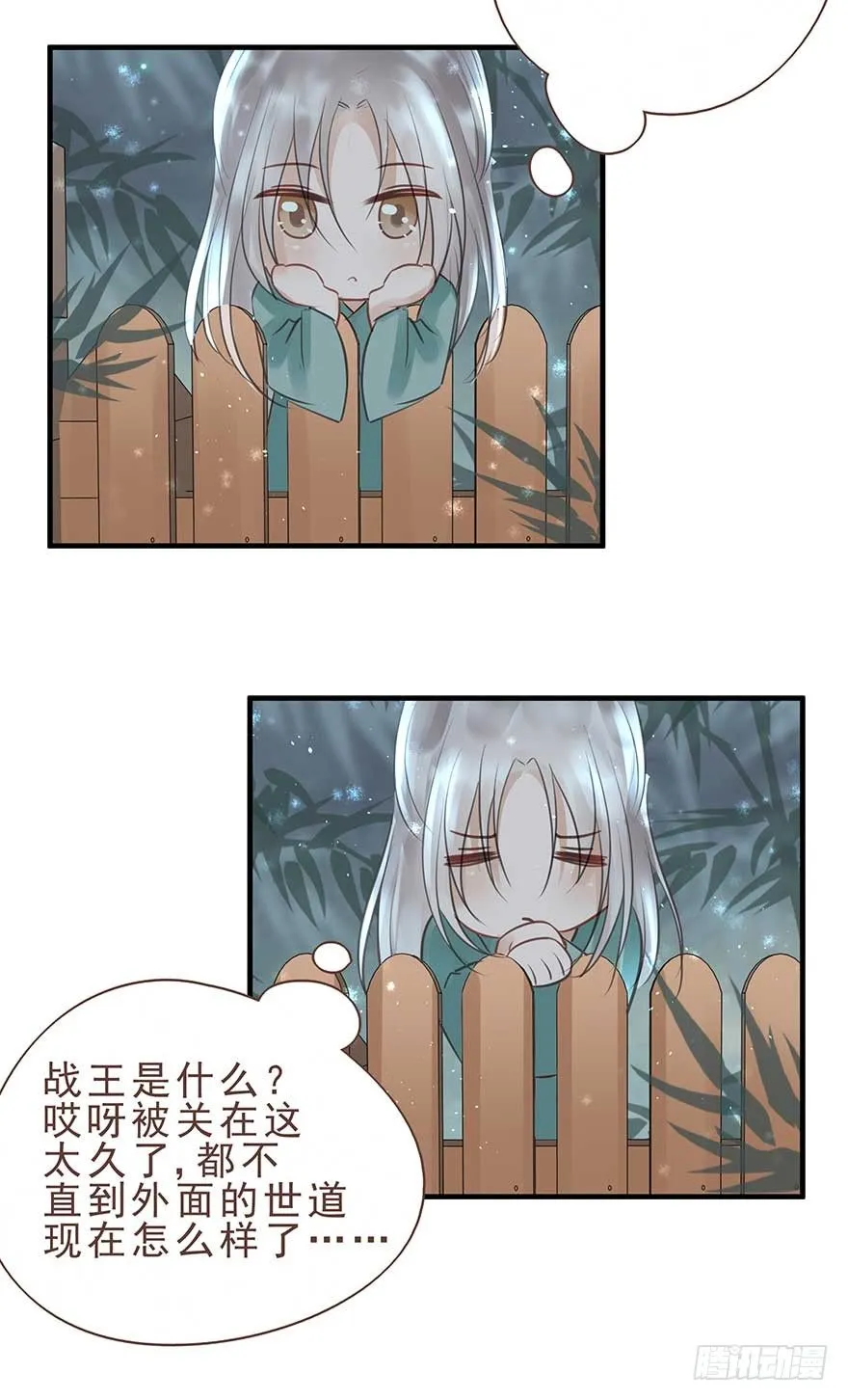 今晚月色真美，战王表白被怼 第17页