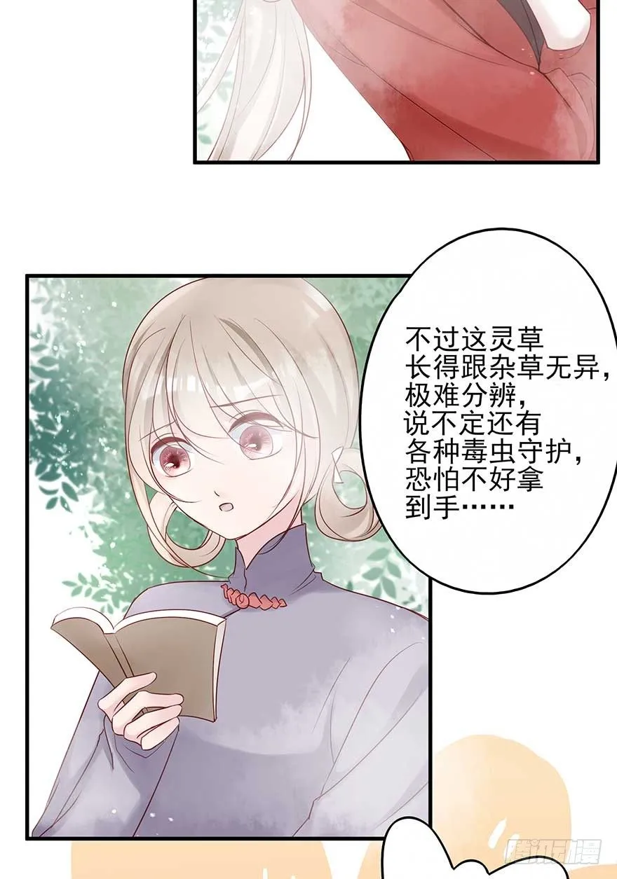 到了打副本的时候了！ 第36页