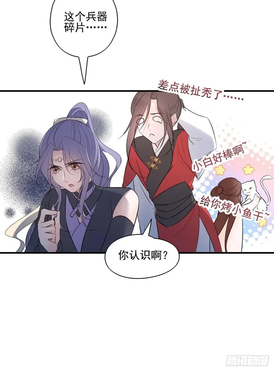 养宠物总有用上的时候 第47页