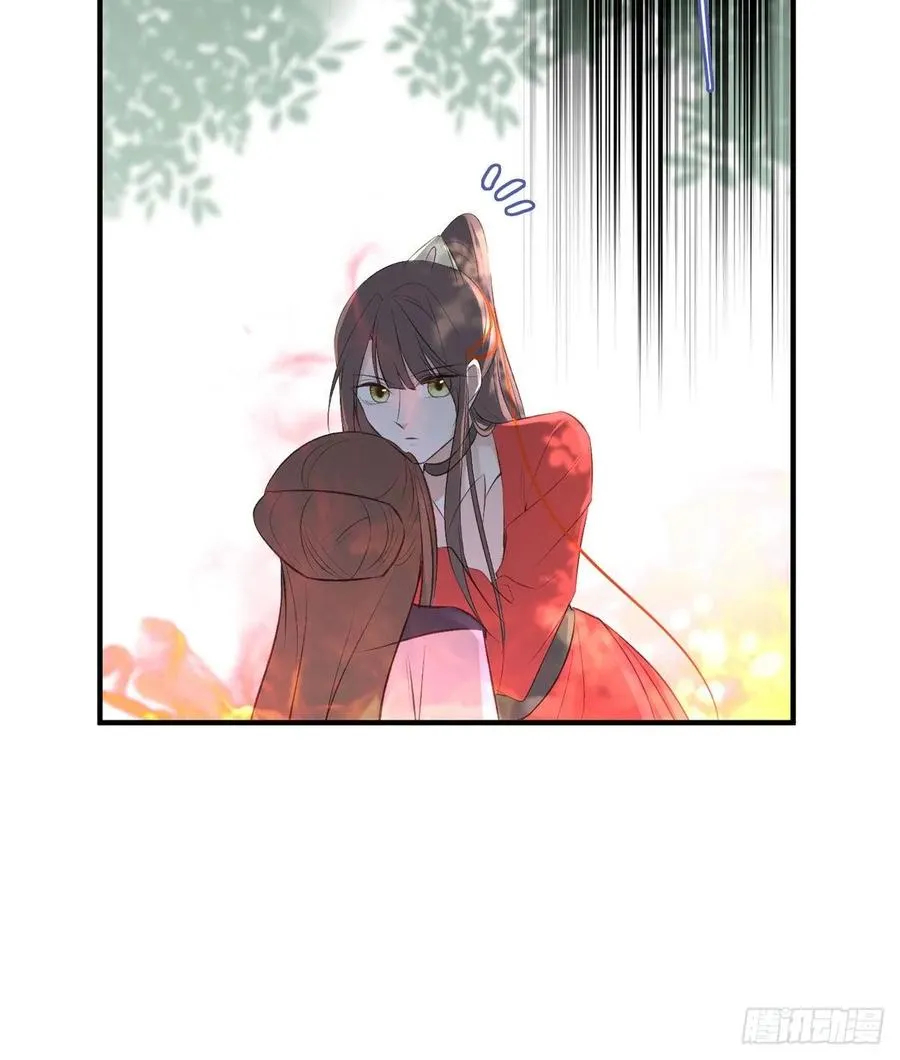 撕婊狂魔凤天澜 第31页