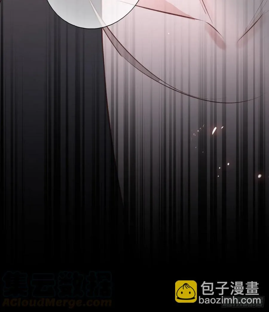 撕婊狂魔凤天澜 第53页