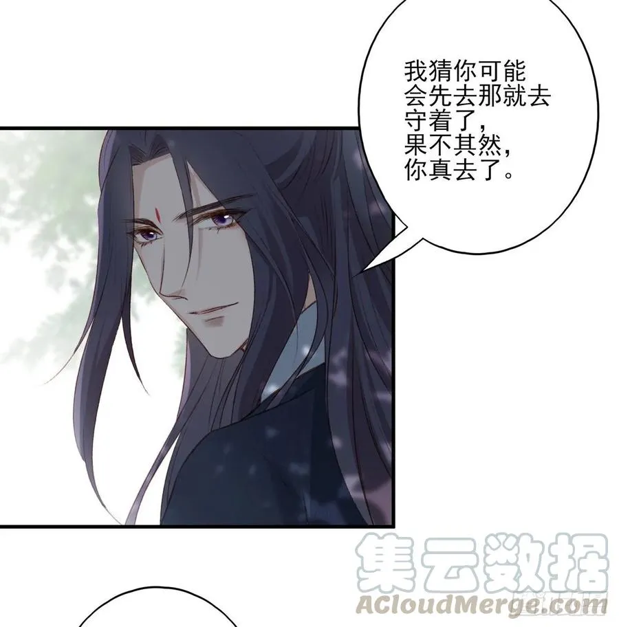 我爱你，所以我无可选择 第5页