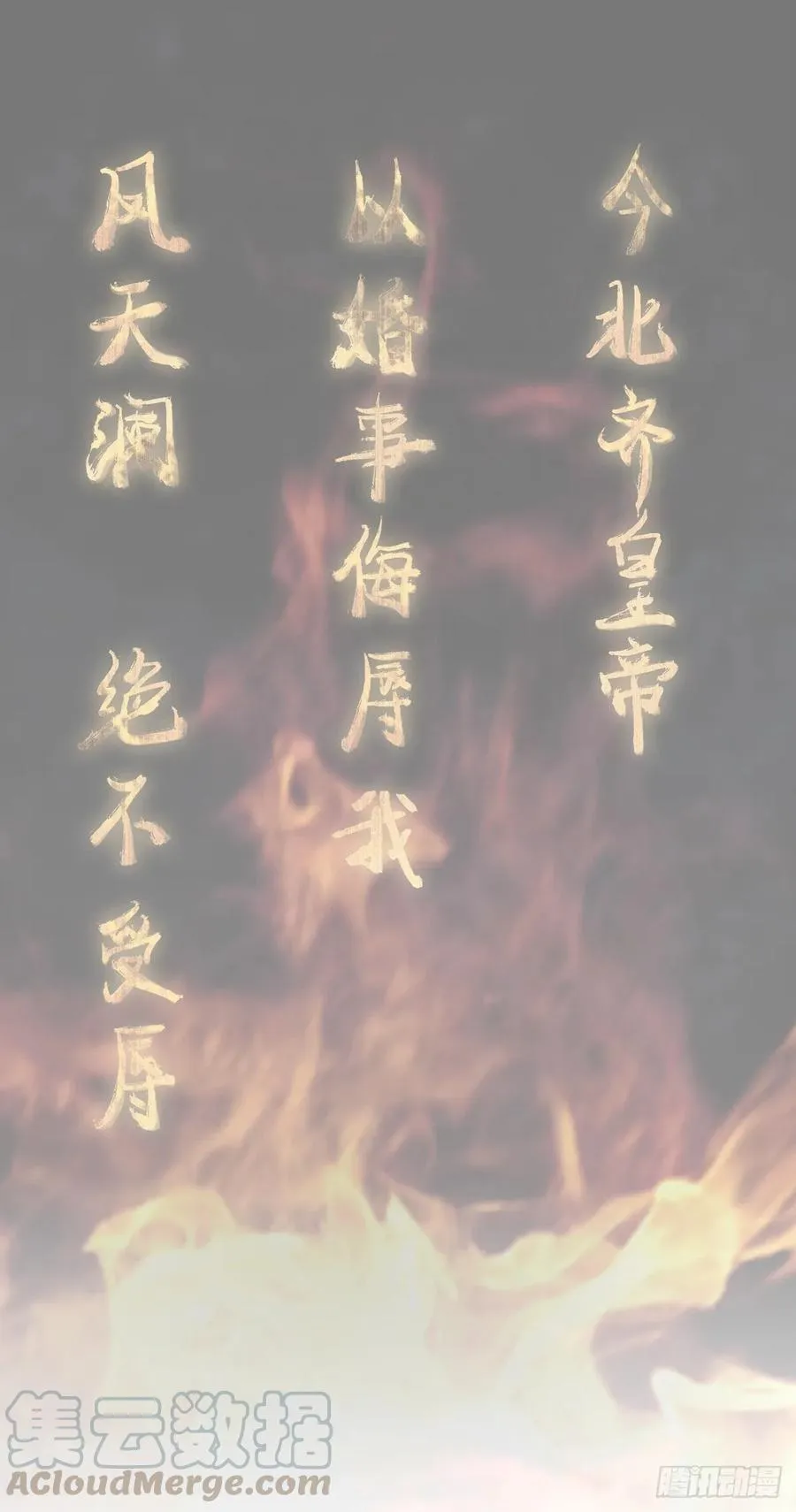 我爱你，所以我无可选择 第13页