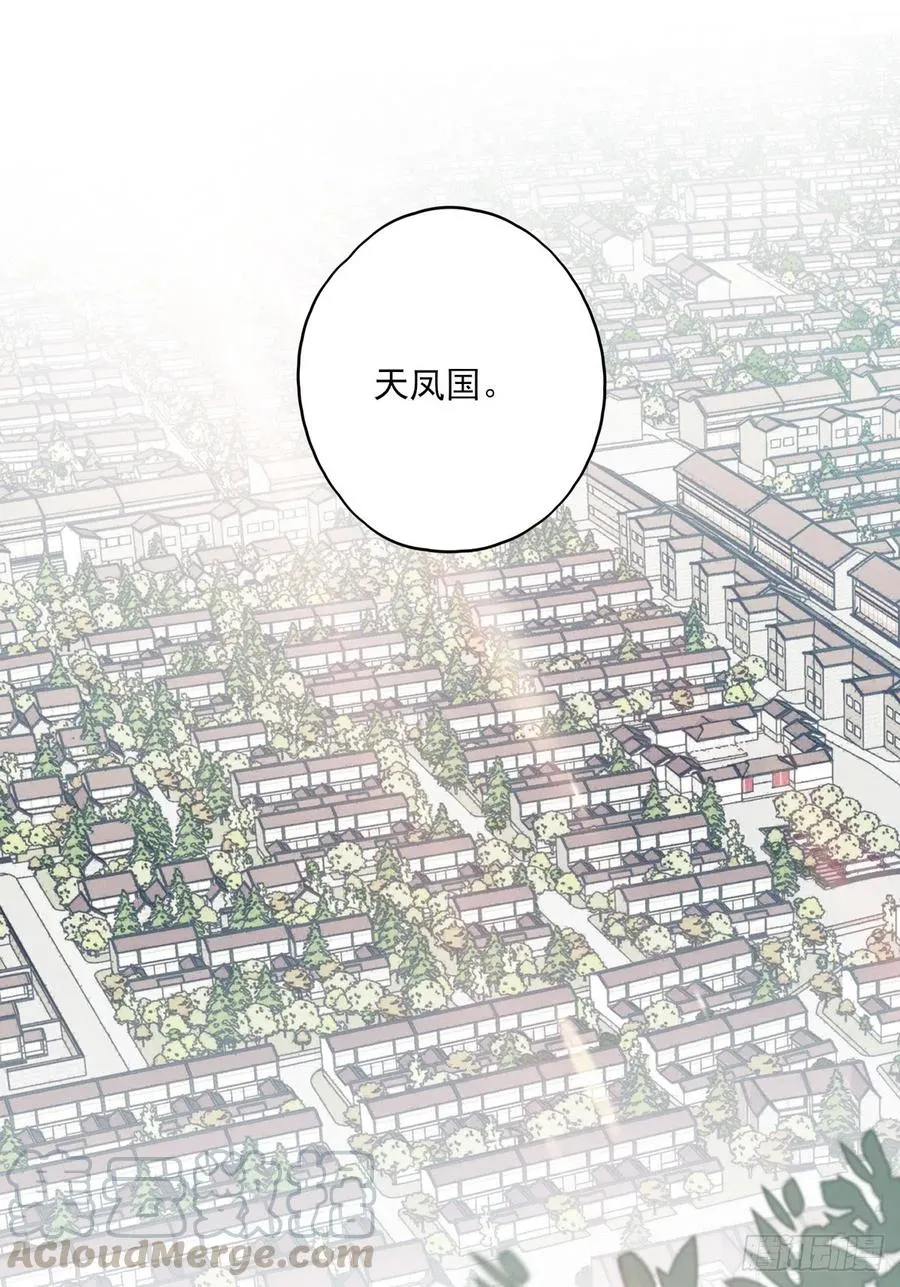 “天凤国” 第28页