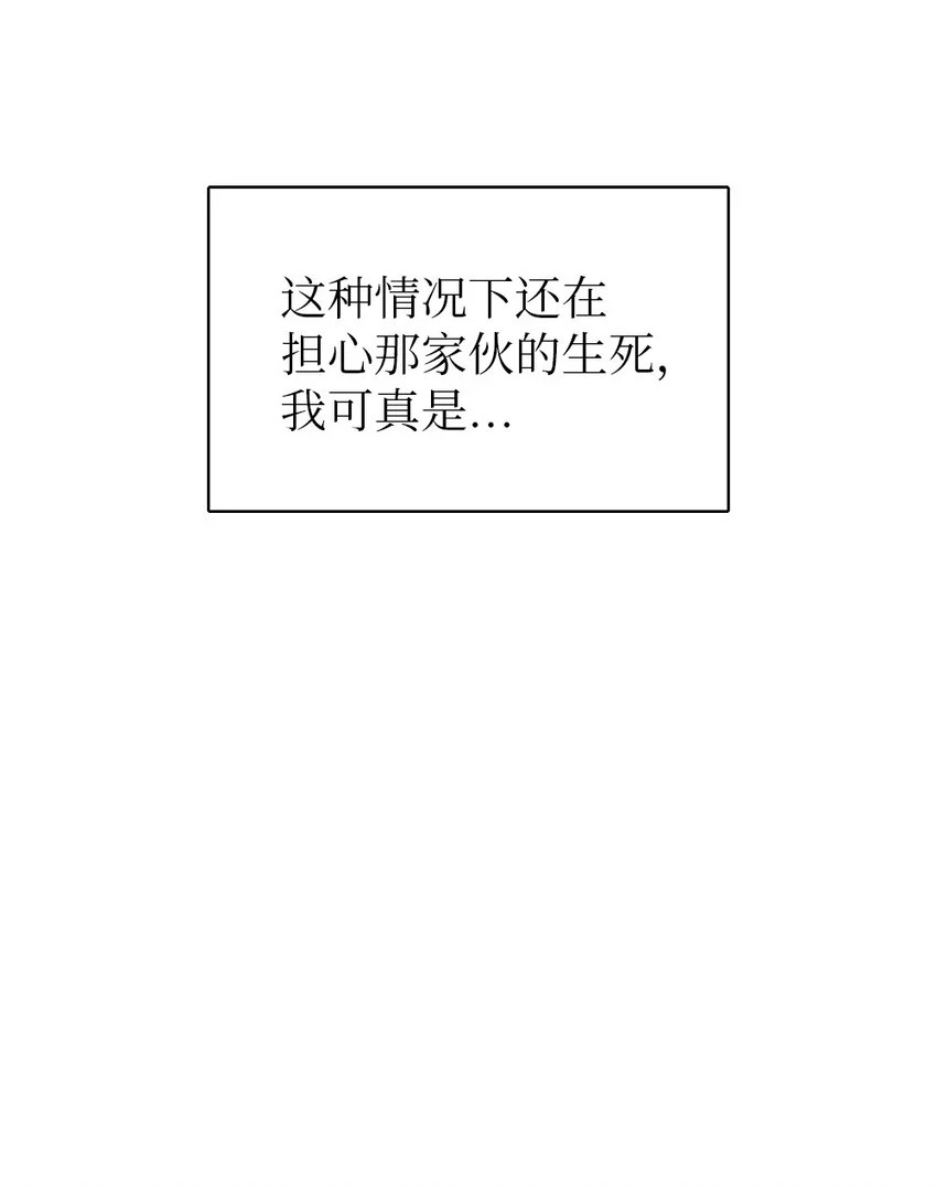213 213 第15页