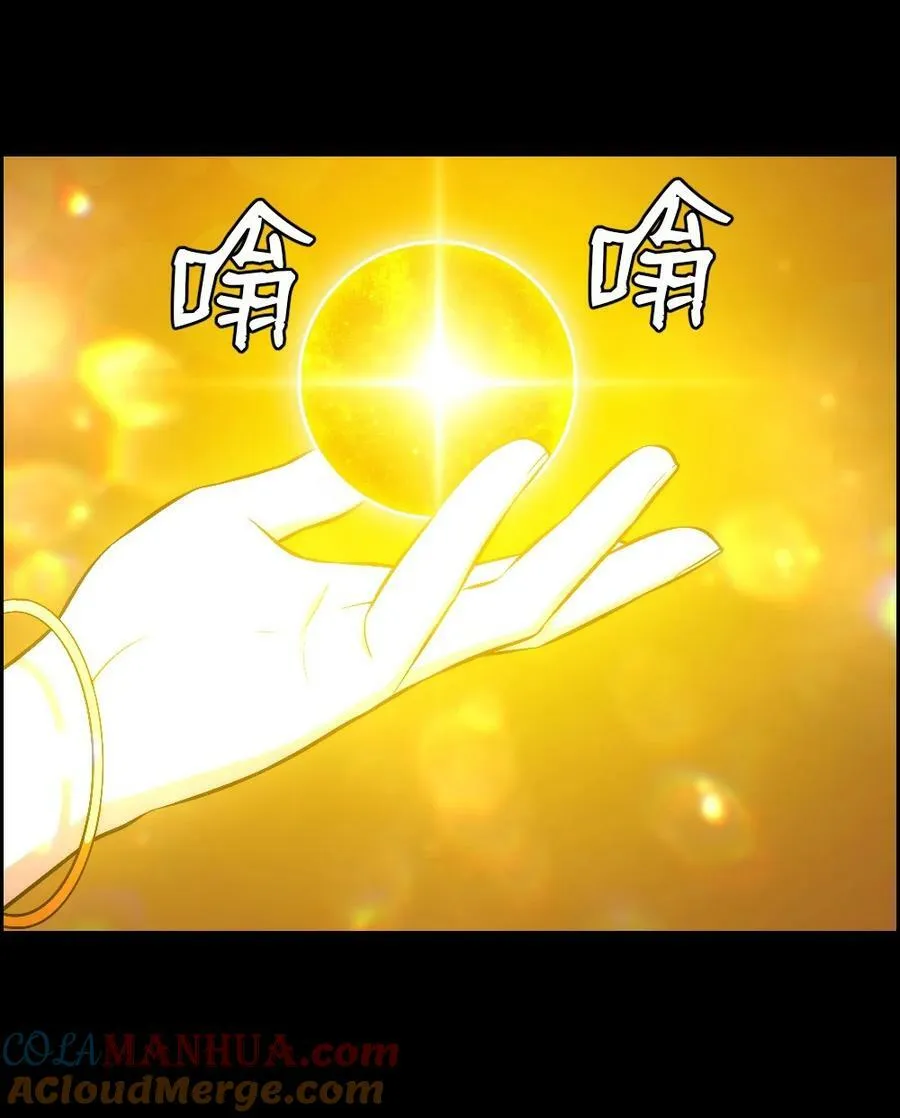223 223 第15页