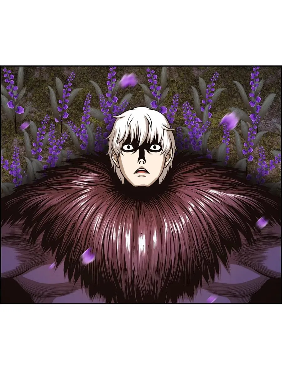 31 31 第11页