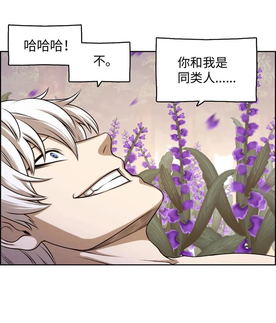 31 31 第20页