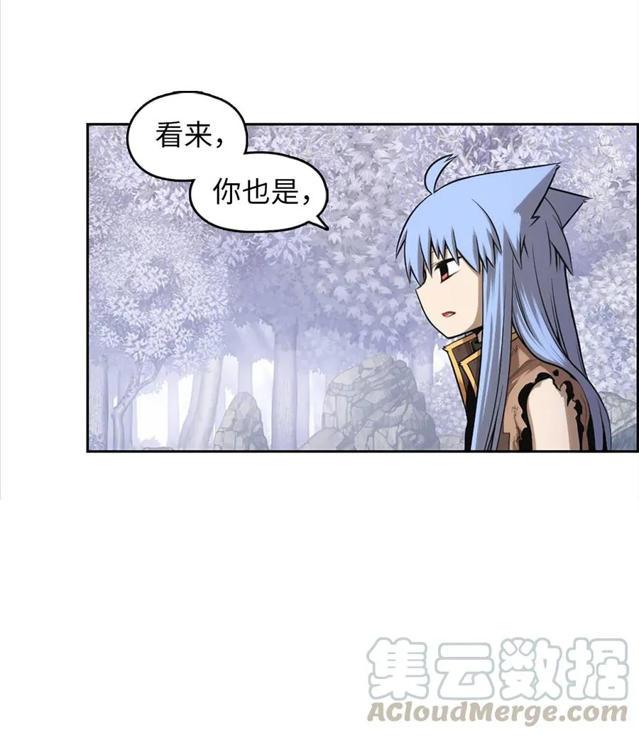 47 47 第25页