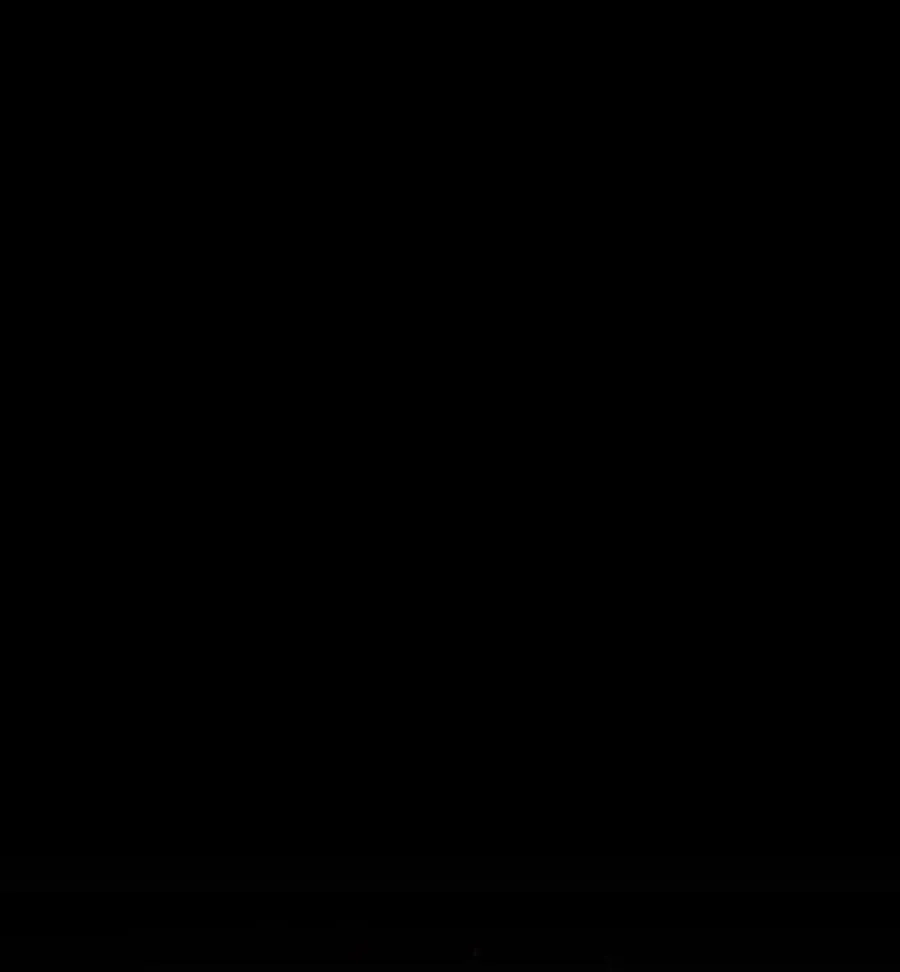 79 79 第2页
