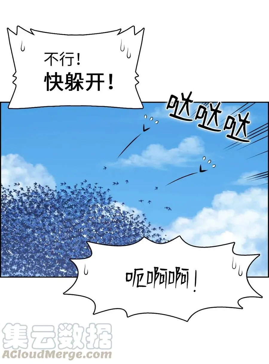 118 118 第10页