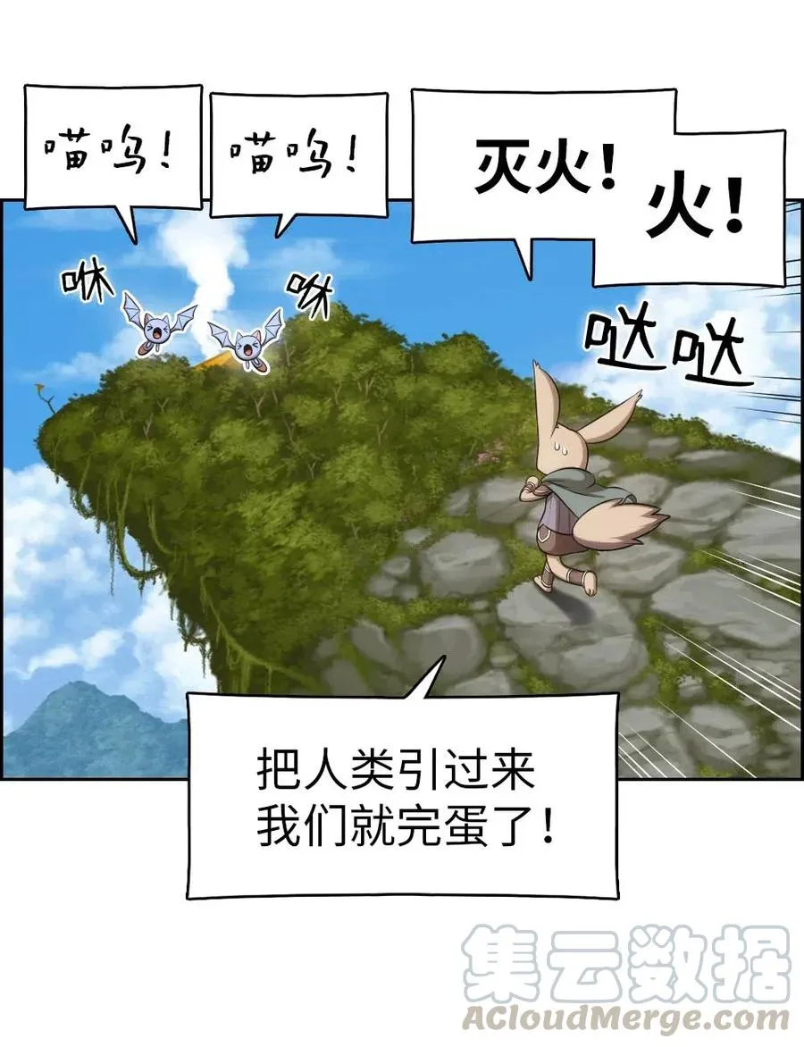 117 117 第28页