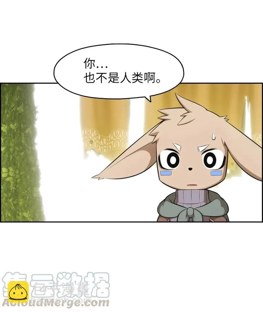 119 119 第31页