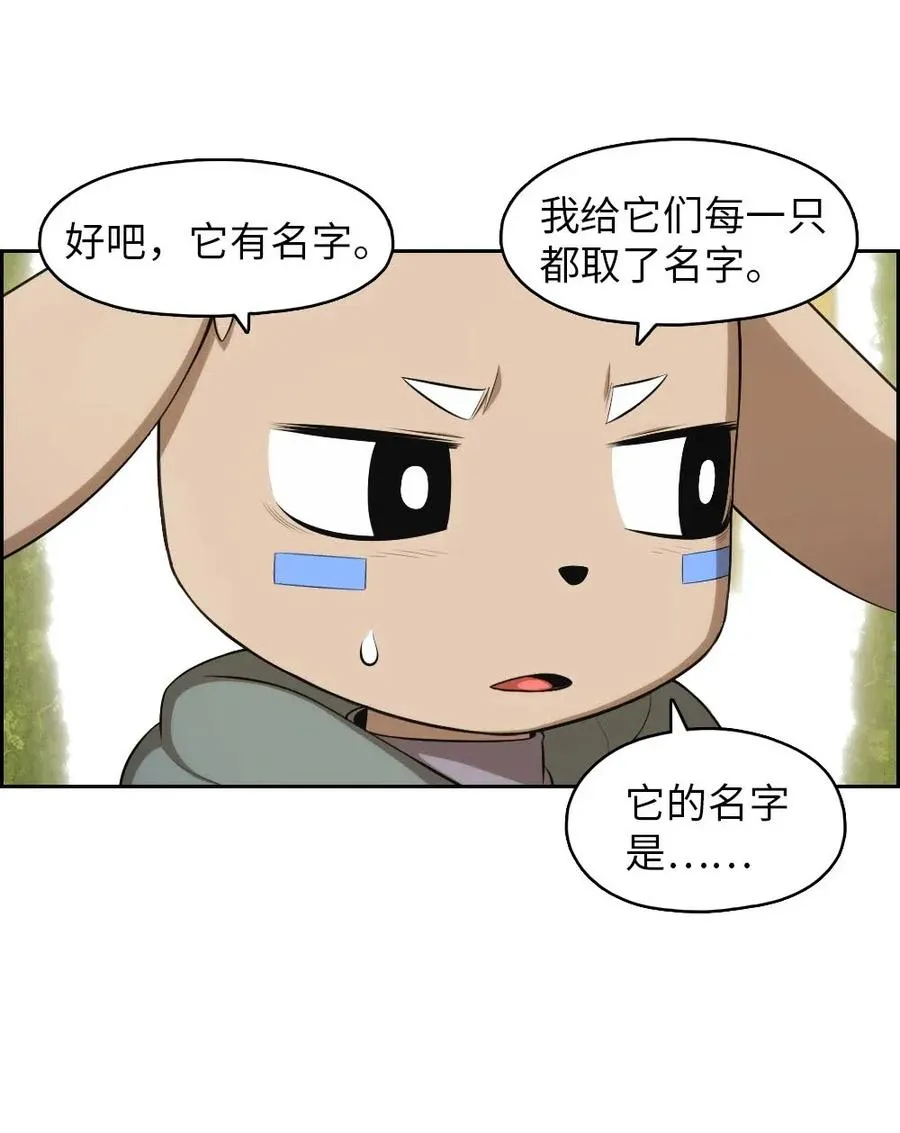 119 119 第35页