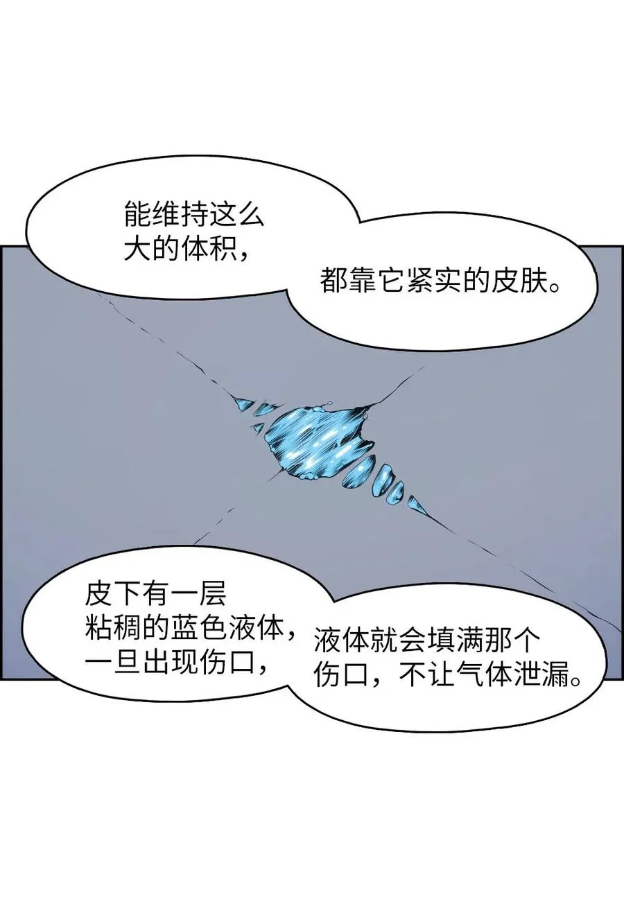 119 119 第51页