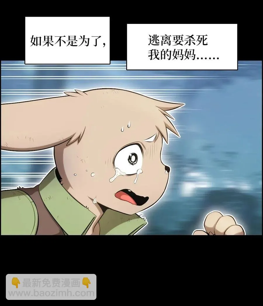120 120 第17页