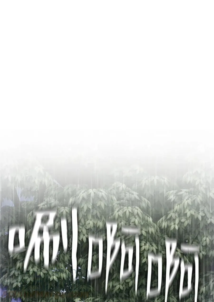 126 126 第13页