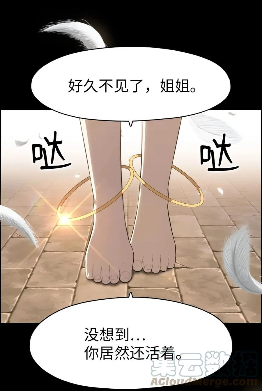 147 147 第35页