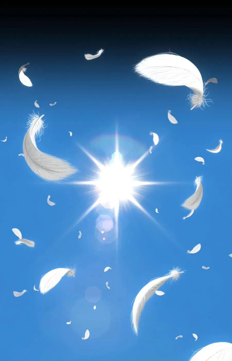 148 148 第2页