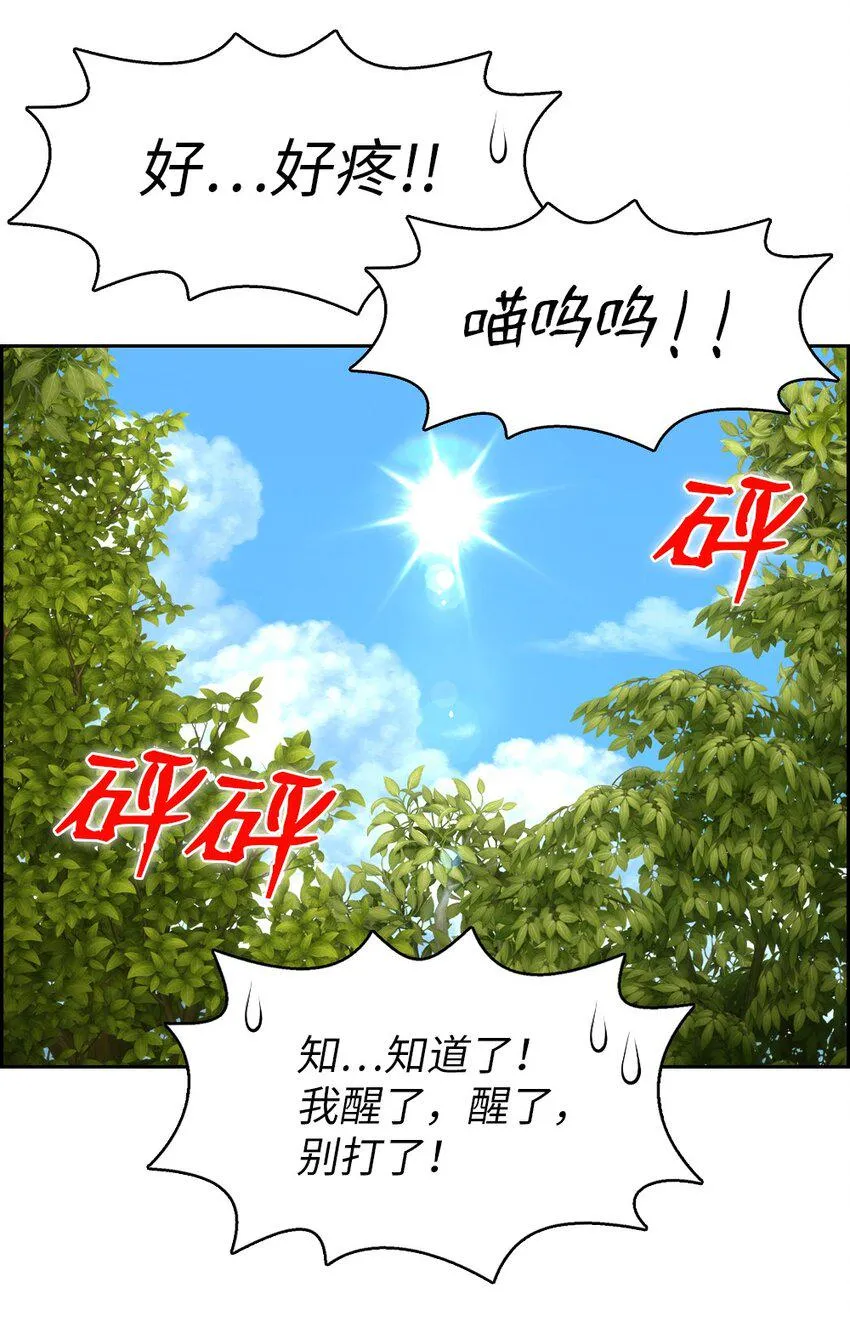186 186 第29页