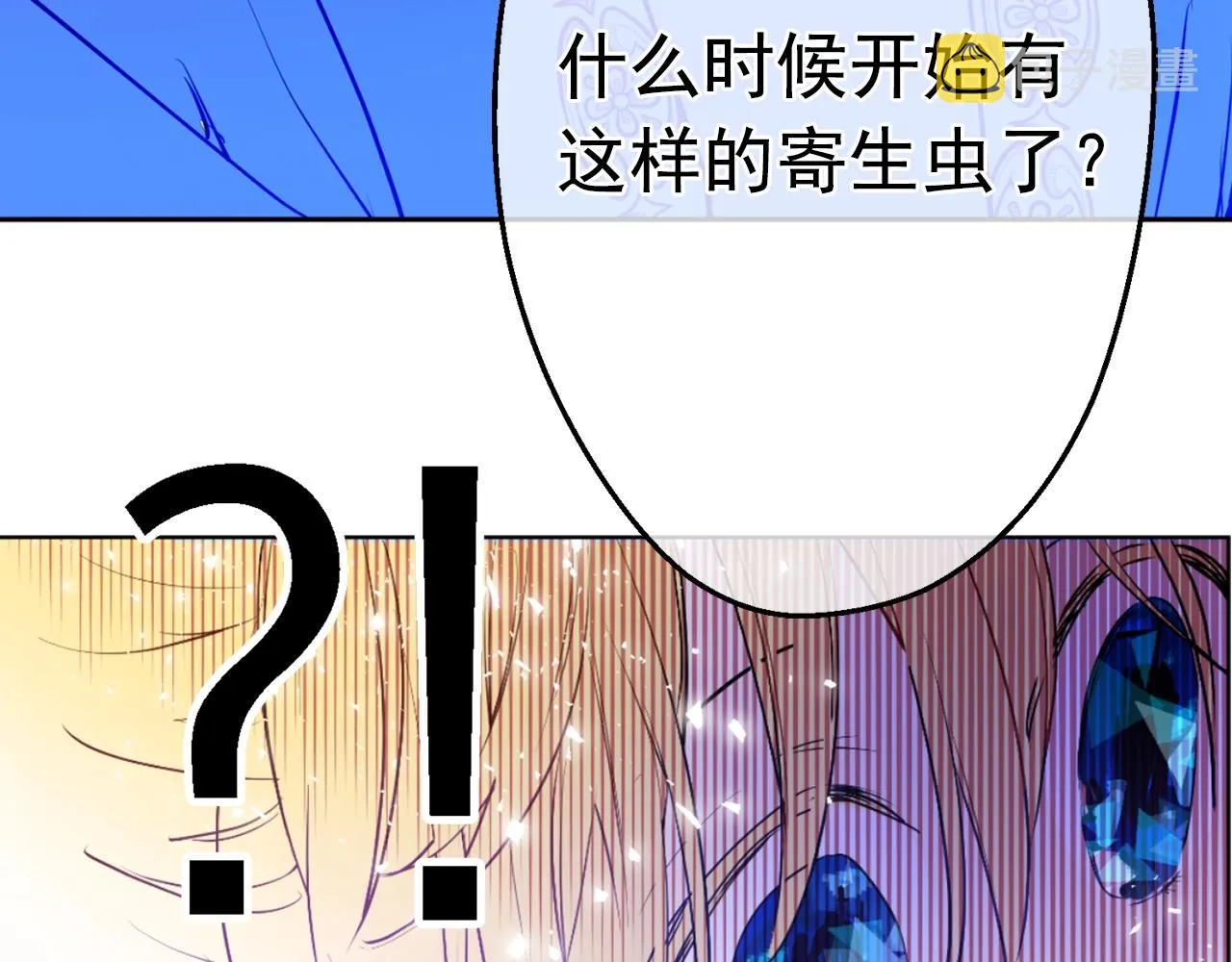 13 第6页