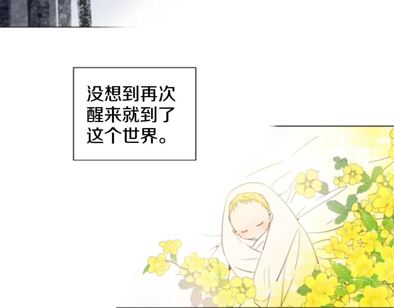 2 第11页