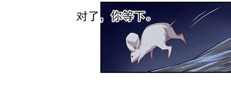 新来的真不懂规矩 第28页