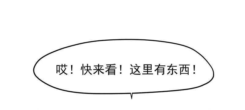 落毛凤凰不如鸡 第14页