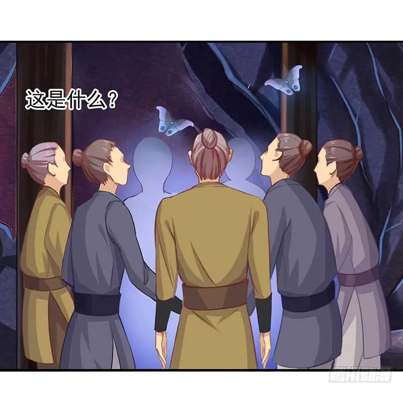 落毛凤凰不如鸡 第17页