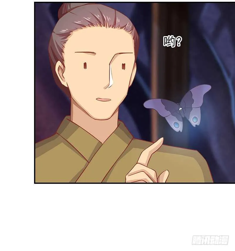 落毛凤凰不如鸡 第20页