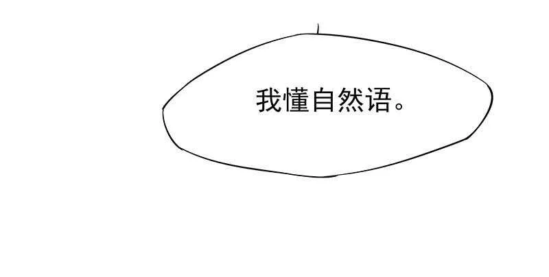 落毛凤凰不如鸡 第43页