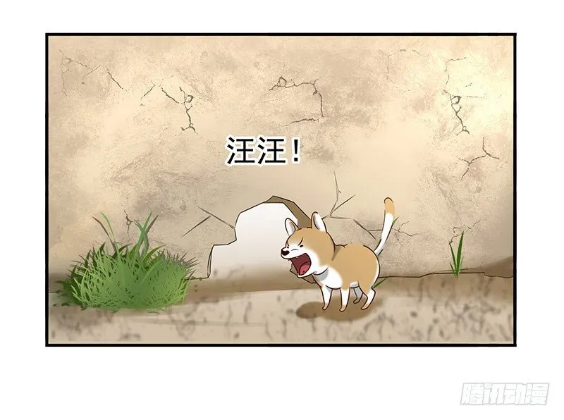 回来了 第4页