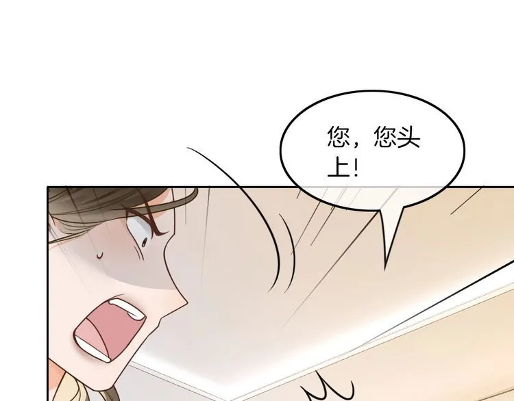 第136话 裴爷出手 第80页