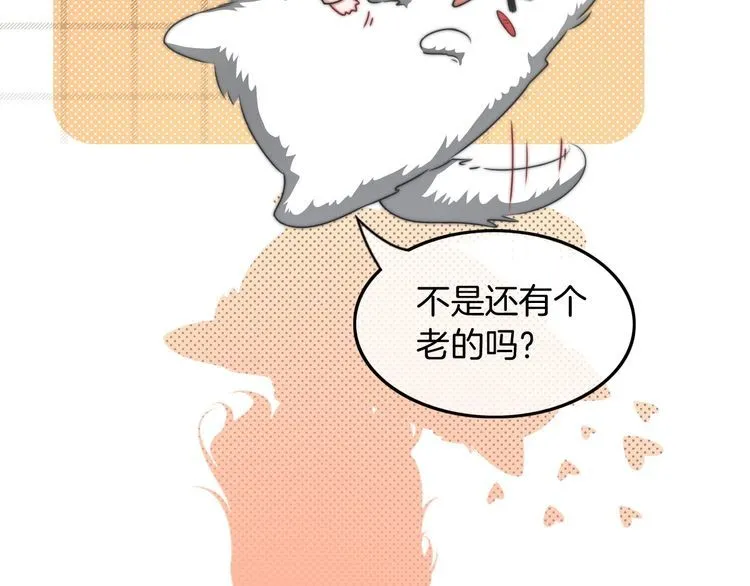 第133话 解出试题 第74页
