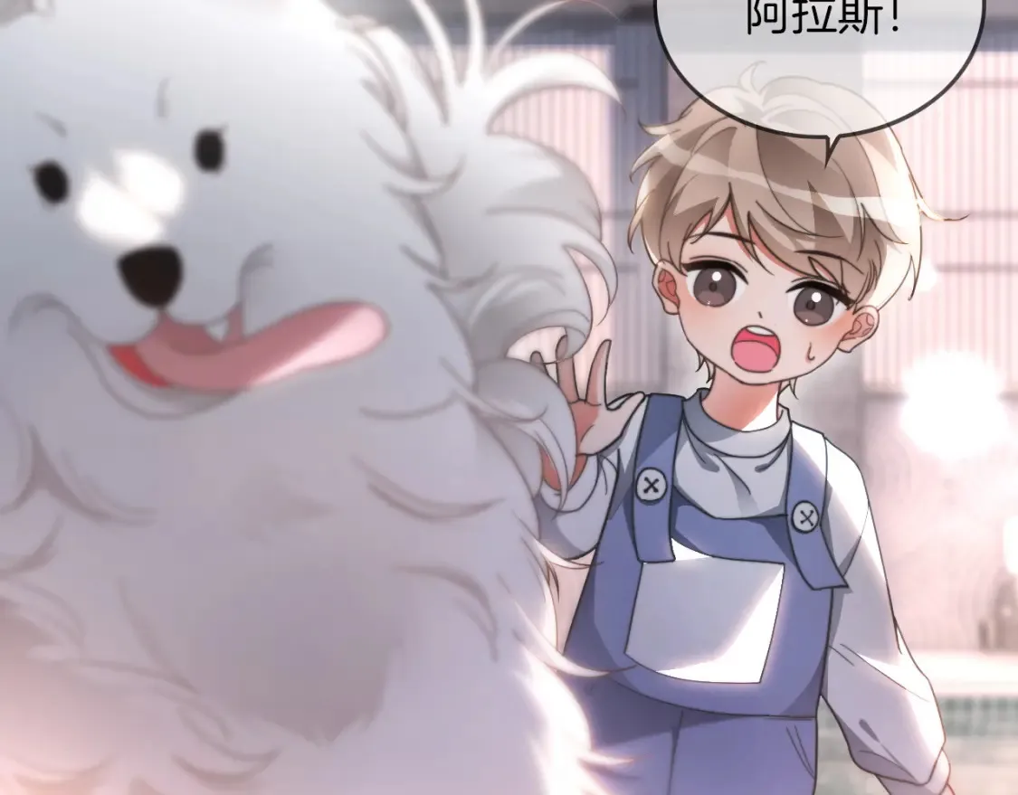 第251话（加更） 狗狗受伤 第11页