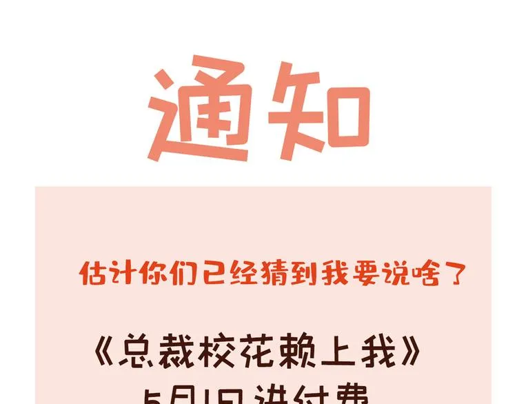 公告 第1页