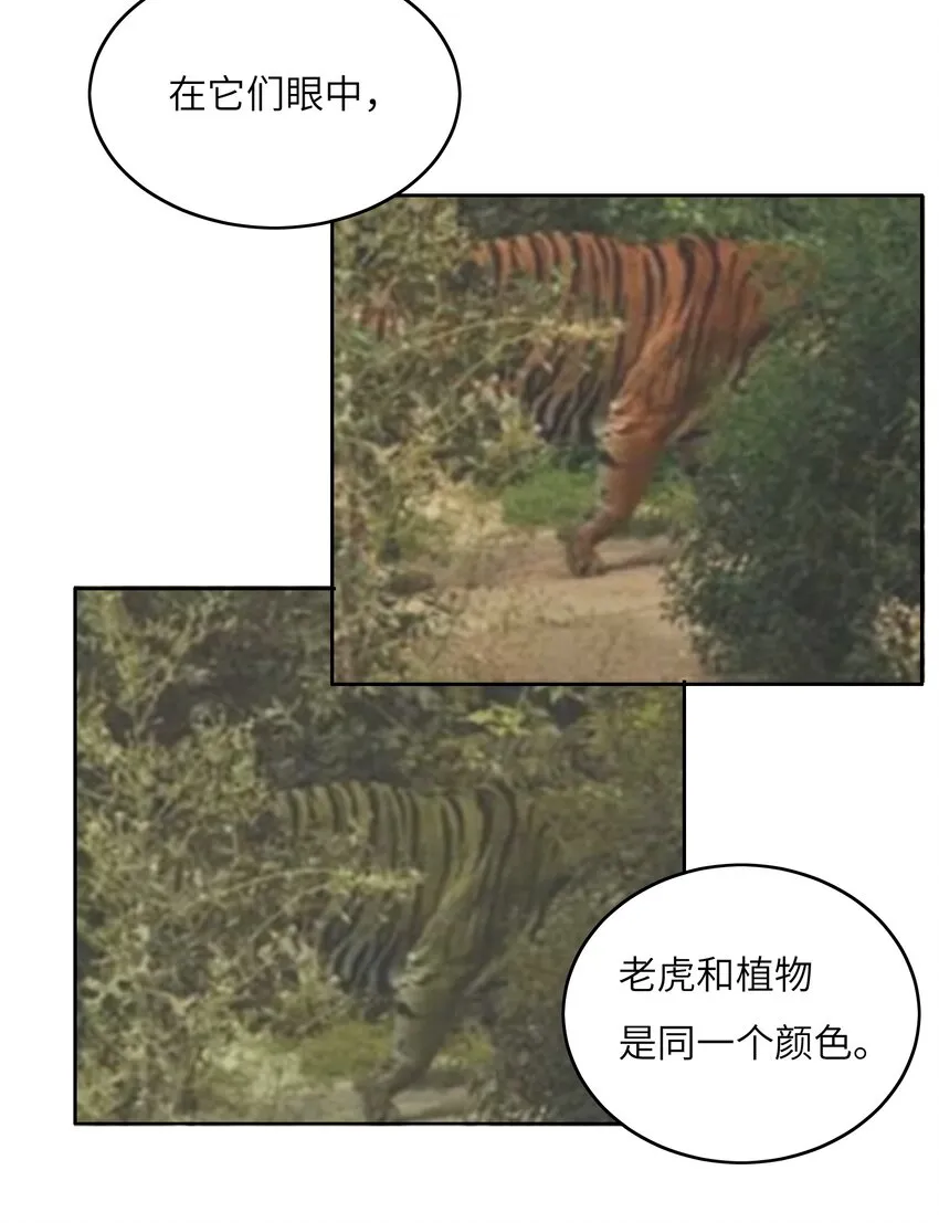 043 天赋异禀 第16页