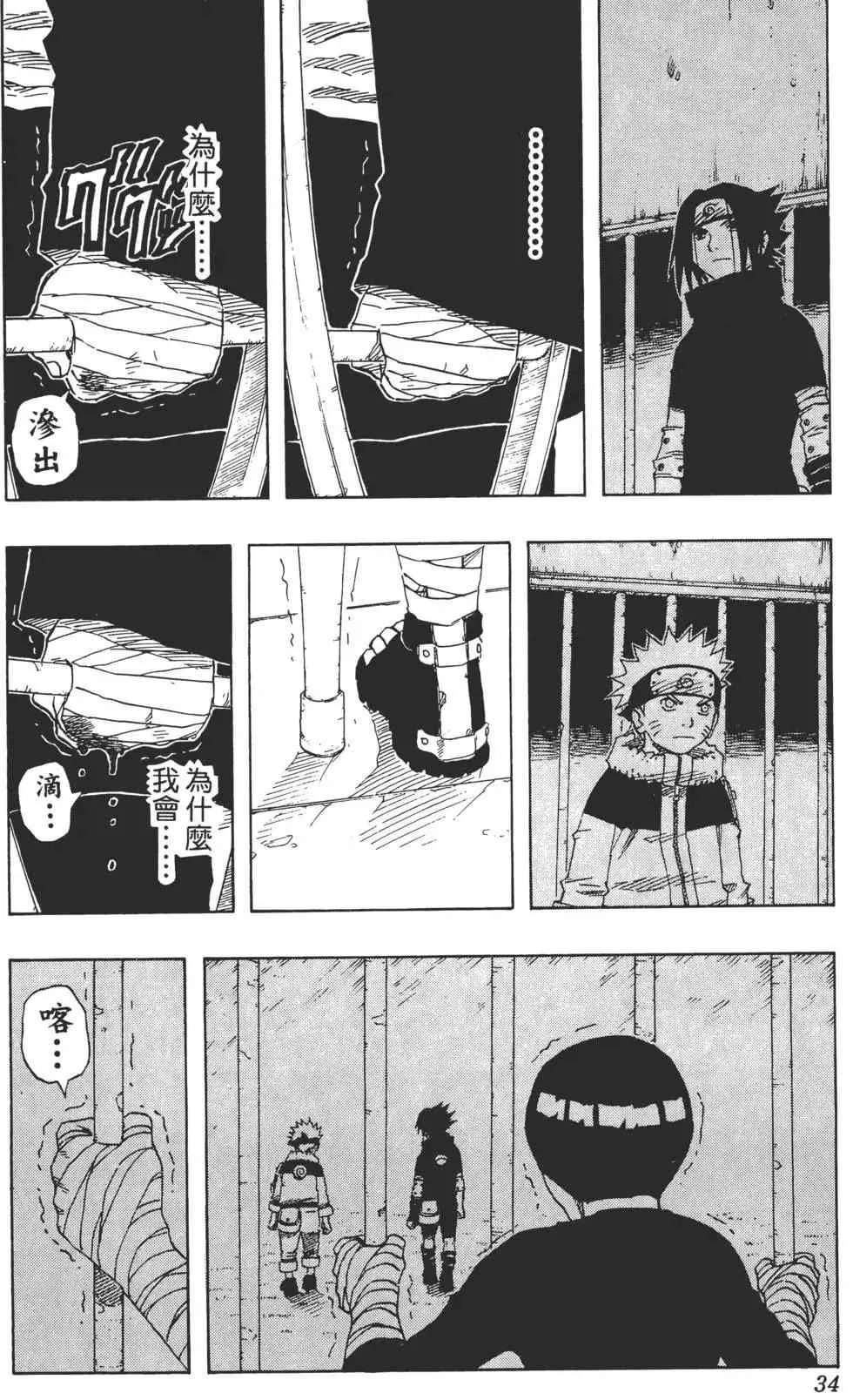 第13卷 第33页