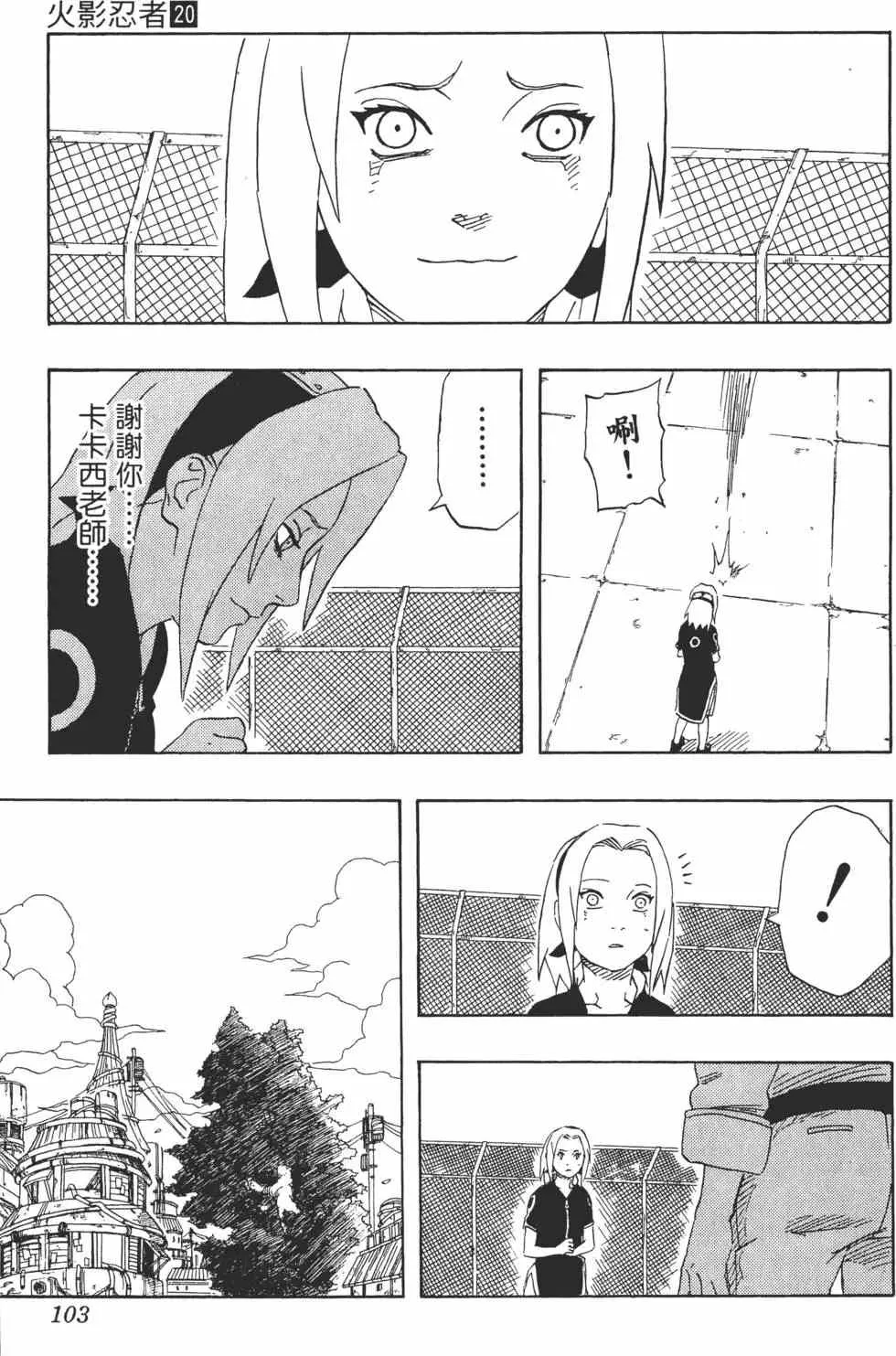第20卷 第102页