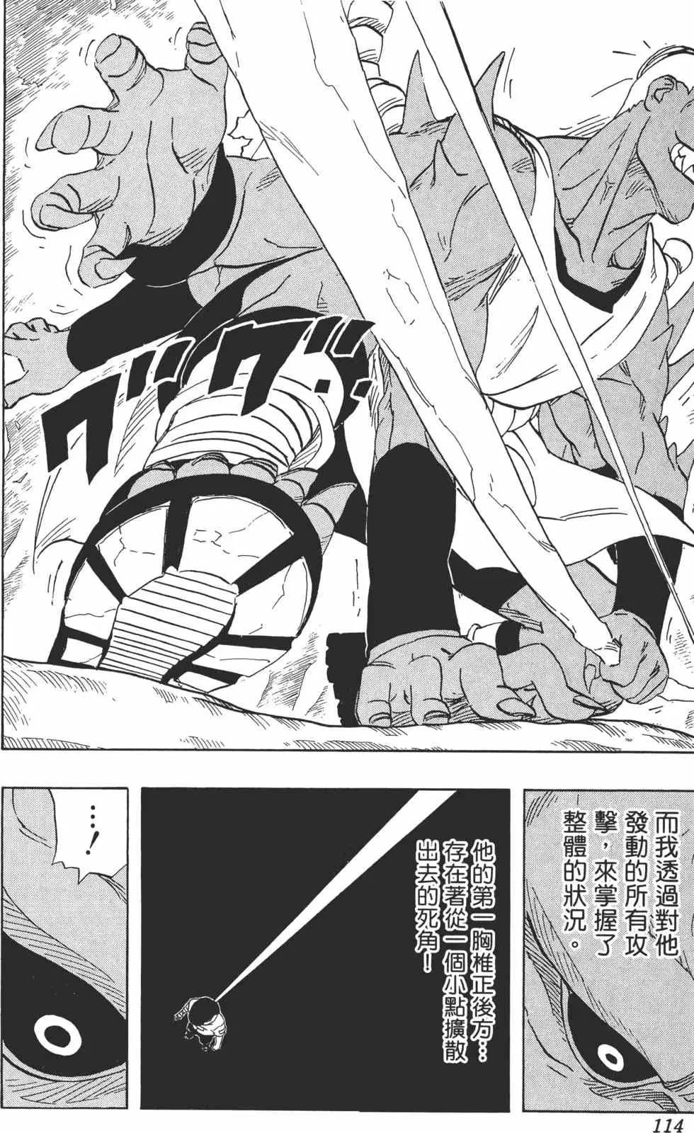 第22卷 第113页