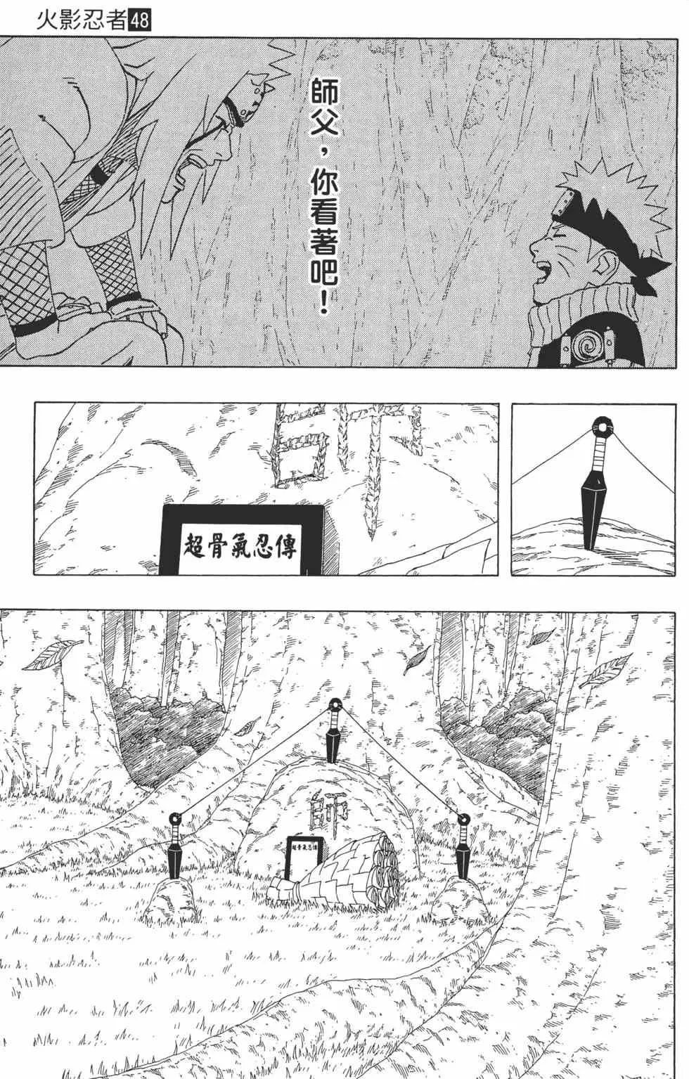 第48卷 第132页