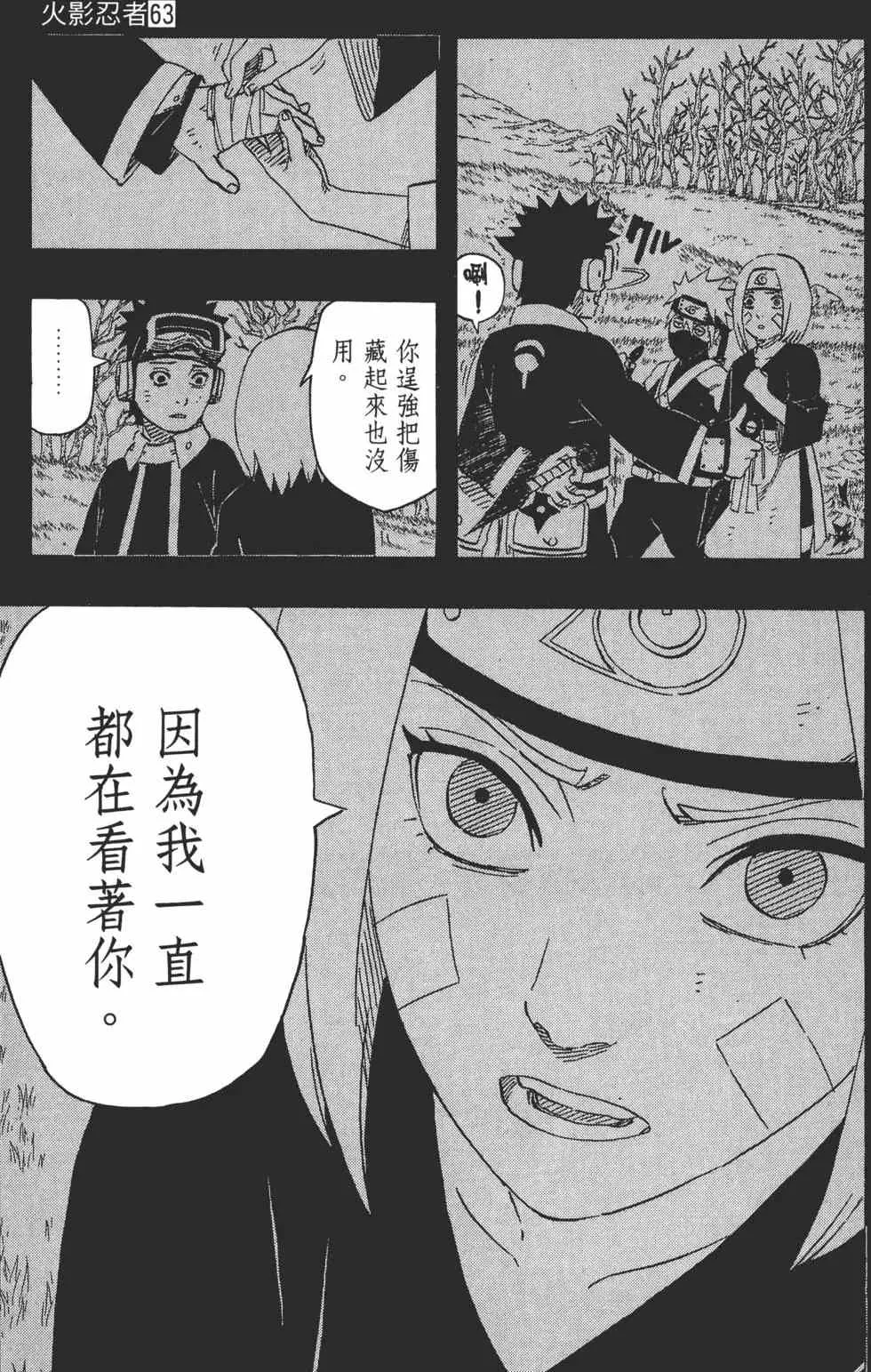 第63卷 第108页