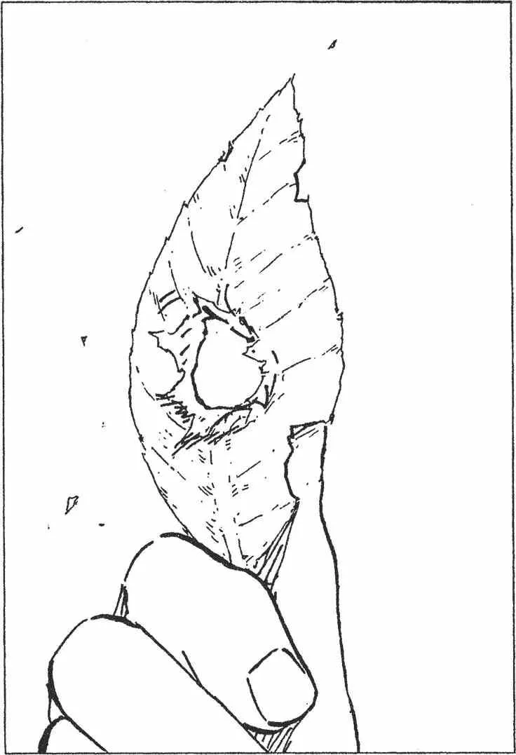 第65卷 第149页