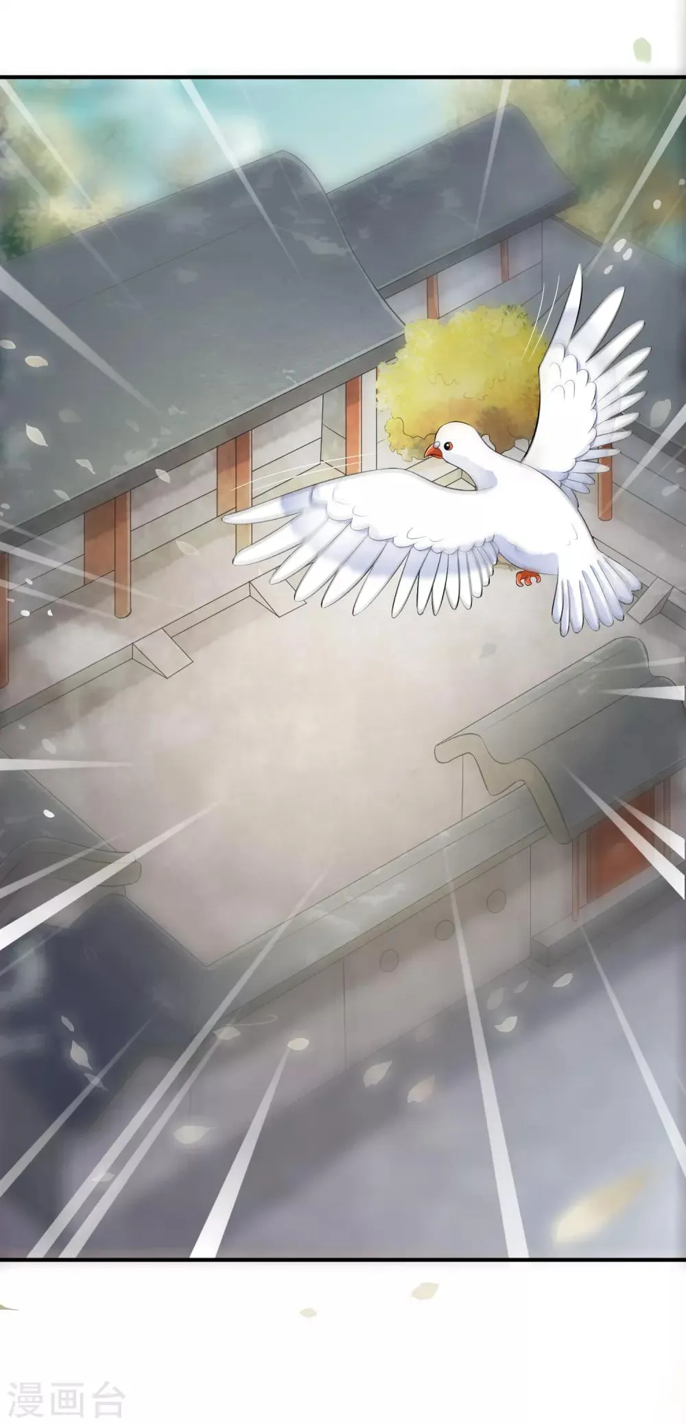 第45话 每个人都有自己的秘密？ 第11页